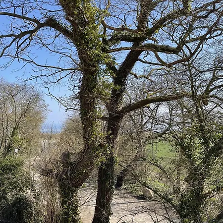 Ferienhaus Am Dahmer Leuchtturm 23f